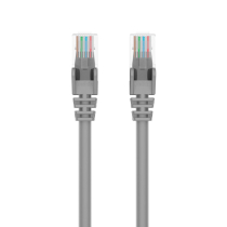 BELKIN Câble Ethernet CAT6 1m (Gris)