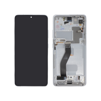 Ecran Complet Argent Galaxy S21 Ultra 5G (G998B)